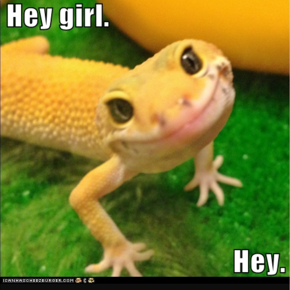 Hey girl hey I know you want the item you liked - Picture 1 of 1